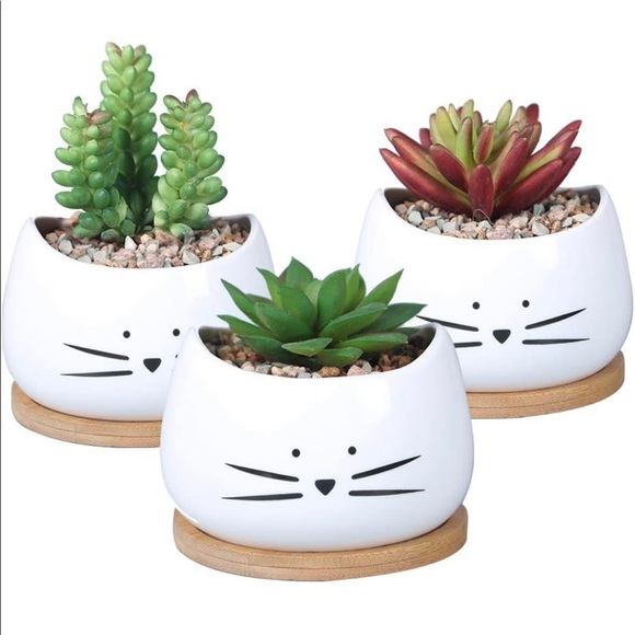 Amazon Other - Amazon Cute Cat Ceramic Succulent Planter Pots